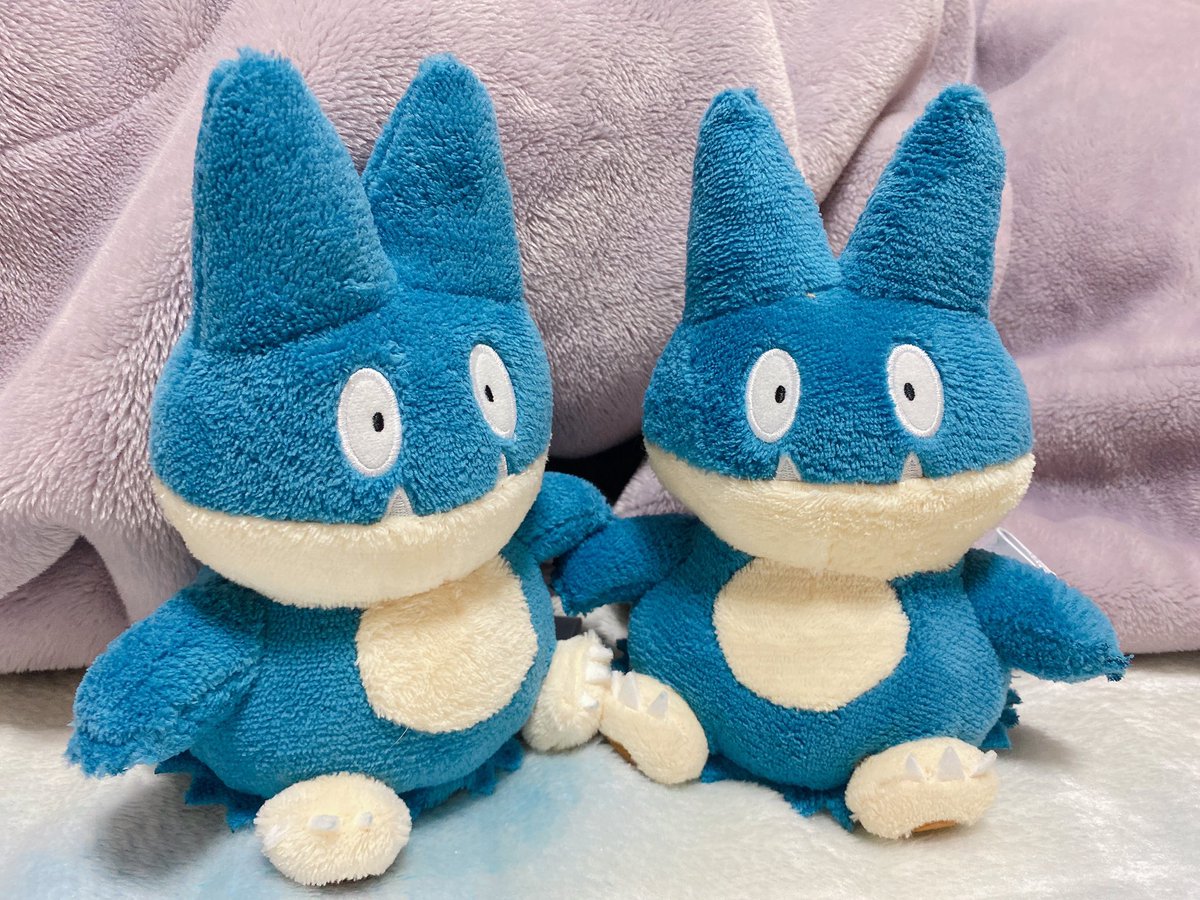 terokooo's tweet photo. かわいいね😋 https://t.co/1kdqHFC8p8