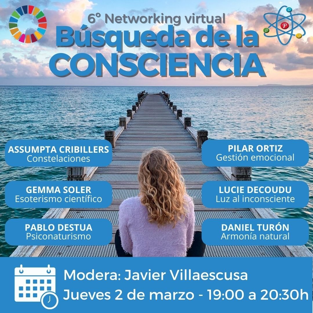 MIESES Global tweet media