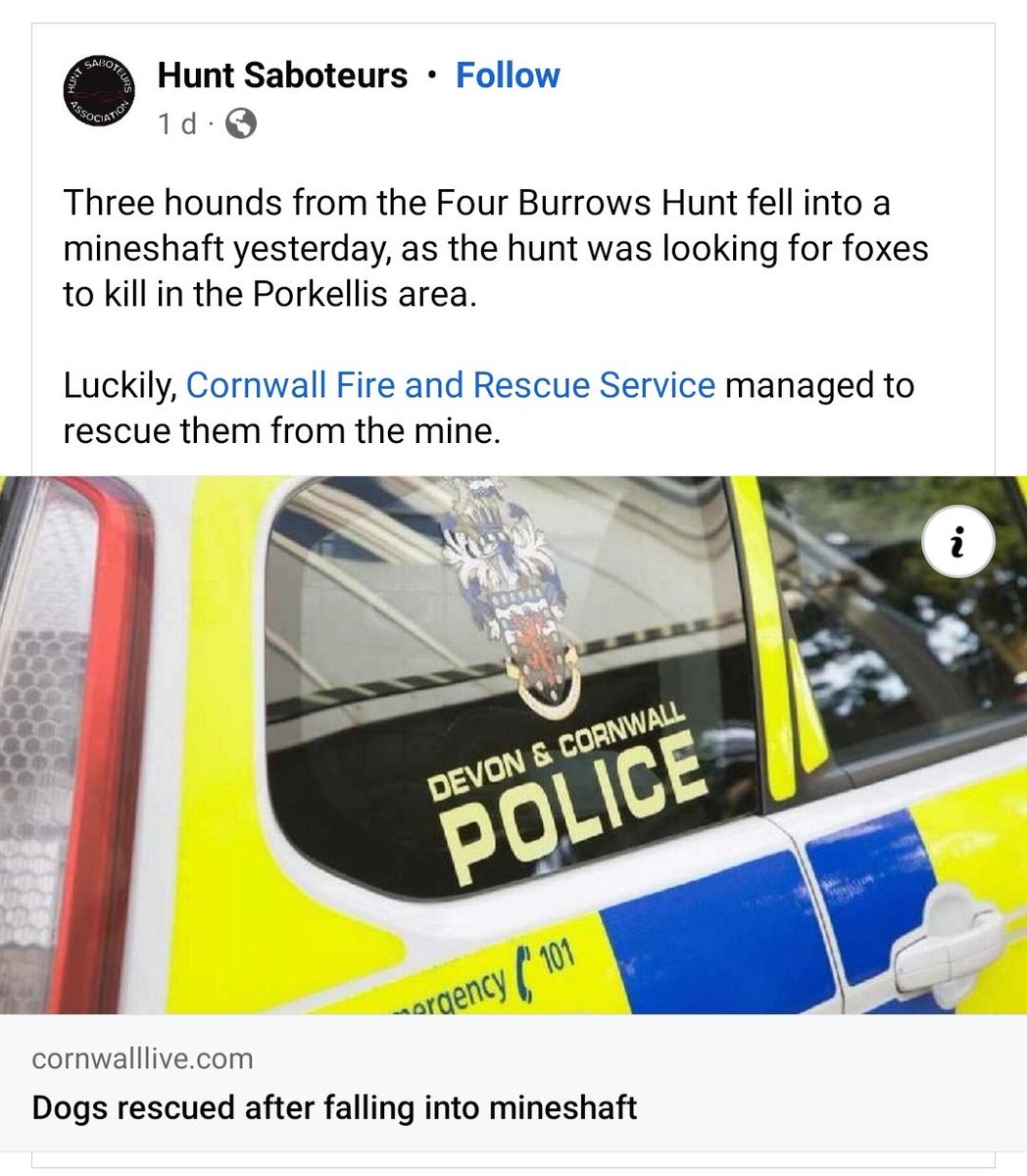 GParkererer's tweet photo. @B_Fryer_97 What do you expect from cunts that don't care about their own dogs getting hurt. Best pals with the police too so they can do what they want apparently https://t.co/xhpFnu0aE3