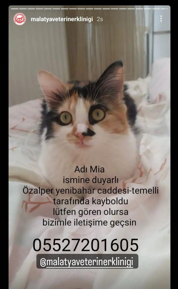 GÖREN DUYAN OLURSA YAZAN NUMARAYA VEYA BANA DM'DEN ULAŞSIN LÜTFEN❗❗❗#malatya #deprem #depremsondakika