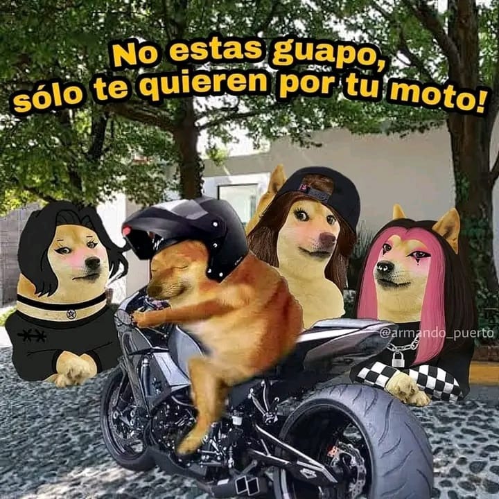 Moto Moto on X: @nacional_memes (?)  / X