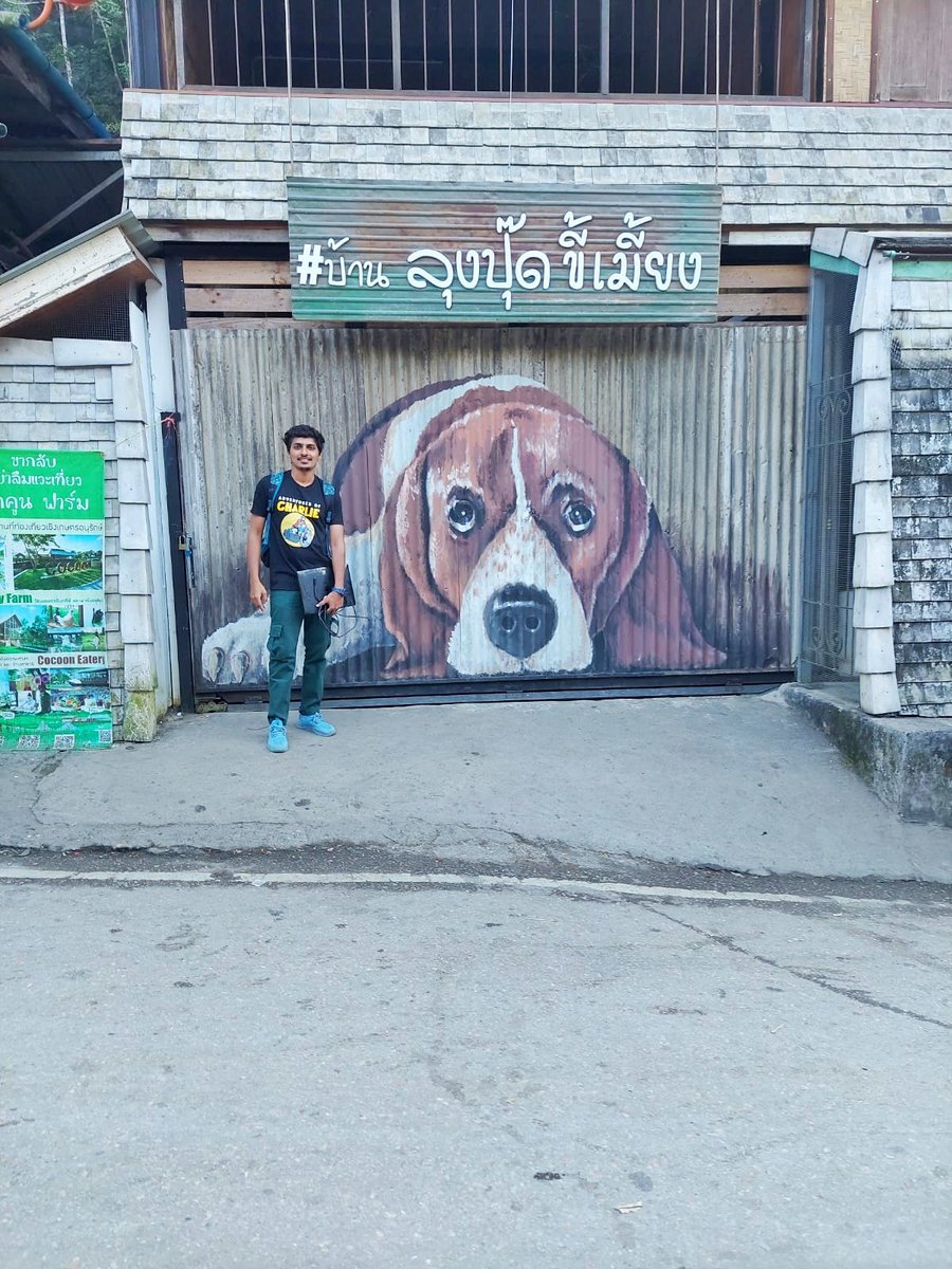 Street...Dog... 🐕

#thailand #bacheloretteparty #phuket #maekampong #street #dog #krabi #bangkok #shootdiaries #throwbackpic
#777charlie