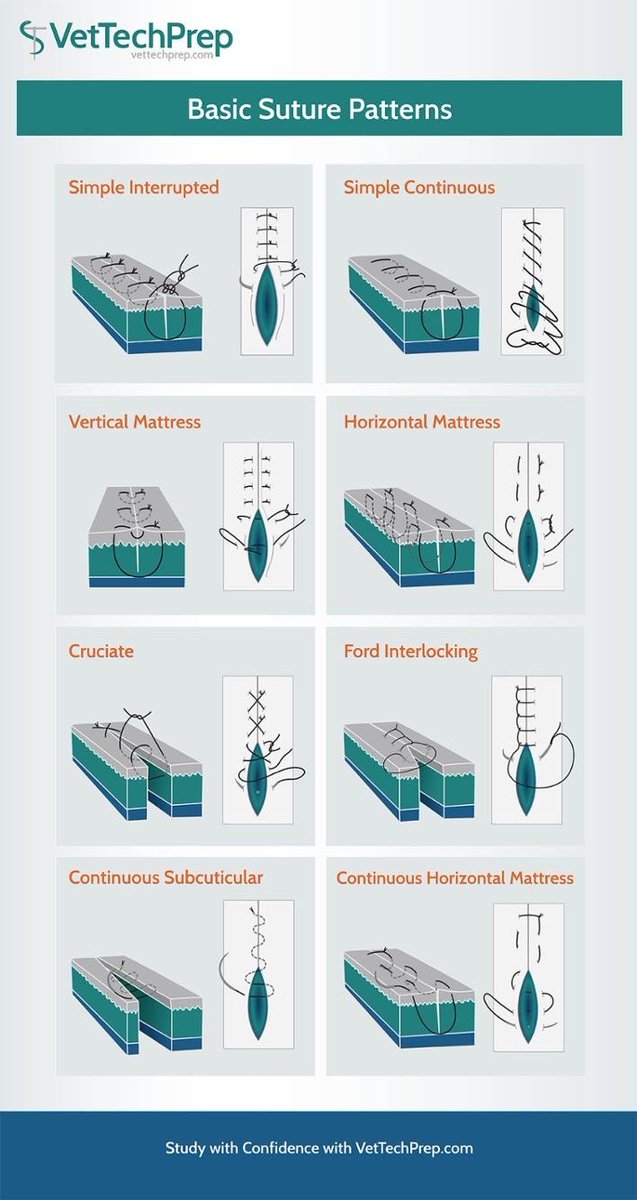 OGdukeneurosurg's tweet image. Great Suturing primer from vet tech prep