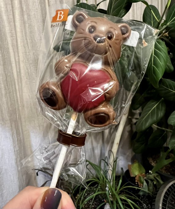 ゼノウにあげるチョコです。 
