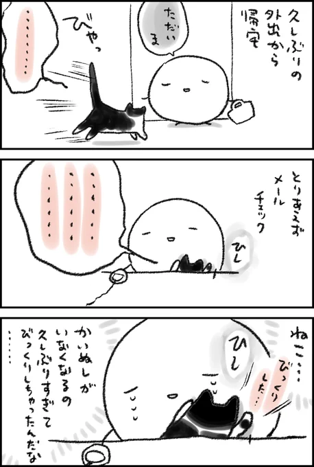 かいぬしのこと、ねこの所有物だと認識していると思われるねこ 