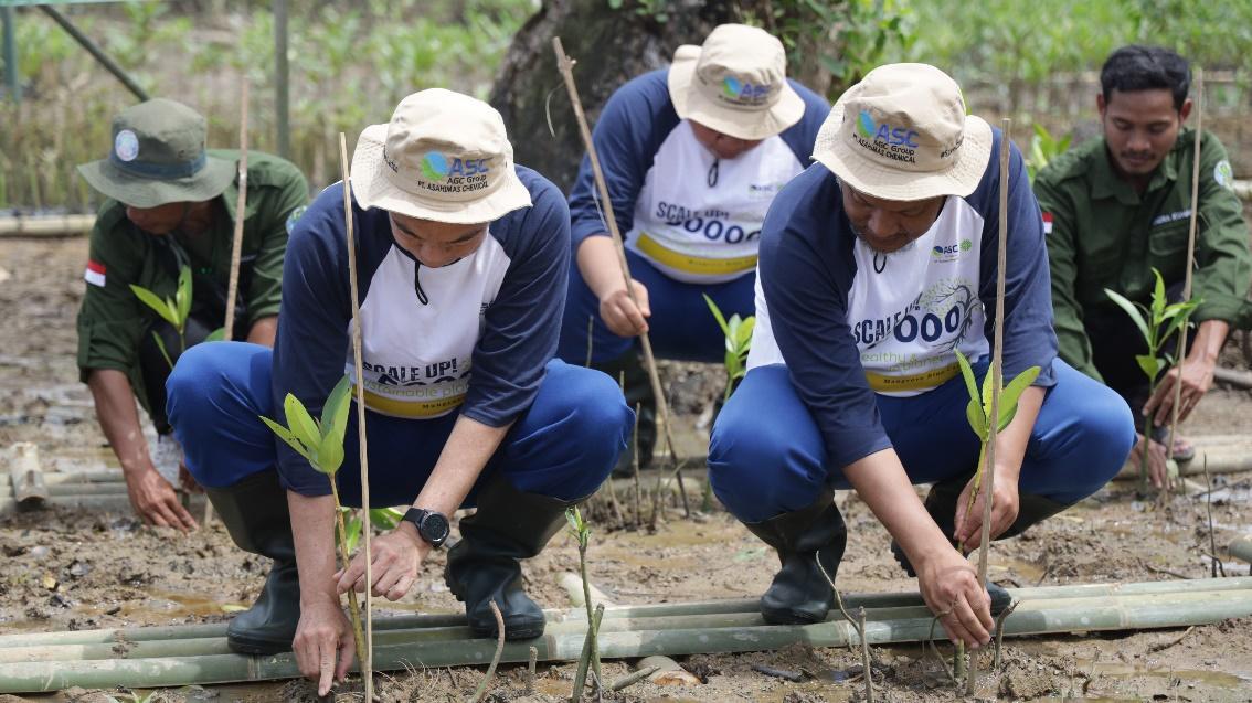 Baliportal_news's tweet image. Wujudkan Bumi Yang Lebih Hijau, PT Asahimas Chemical Kali ke-3 Galakkan Aksi Penanaman Mangrove Bersama Masyarakat

#BaliPortalNews #LaksanakanPenanamanMangrove #Pandeglang #PTAsahimasChemical #WujudkanBumiYanghijau

baliportalnews.com/2023/02/wujudk…