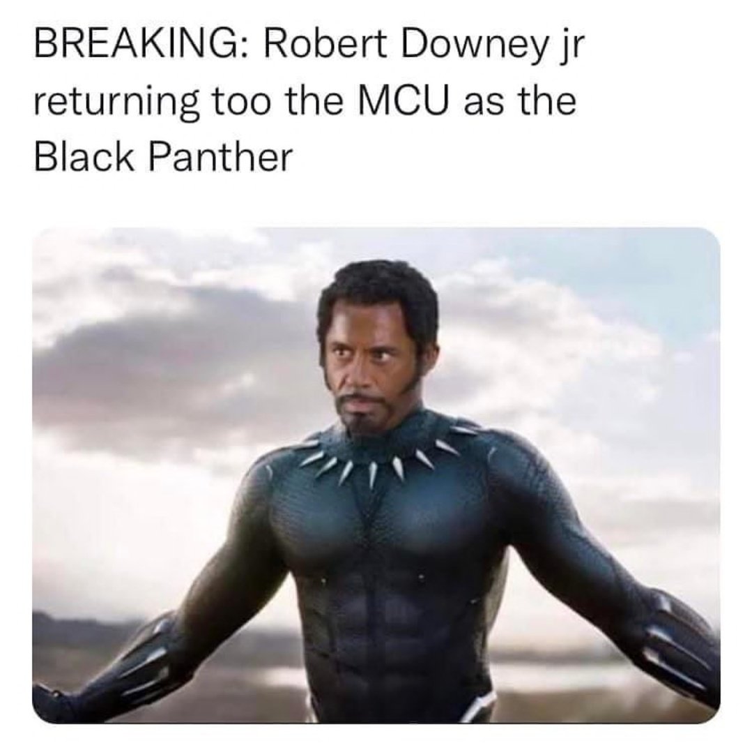 GeekpinEnt's tweet image. Would be down to see @RobertDowneyJr as @theblackpanther. 

#GeekpinEnt #SoSoRandom #WakandaForever