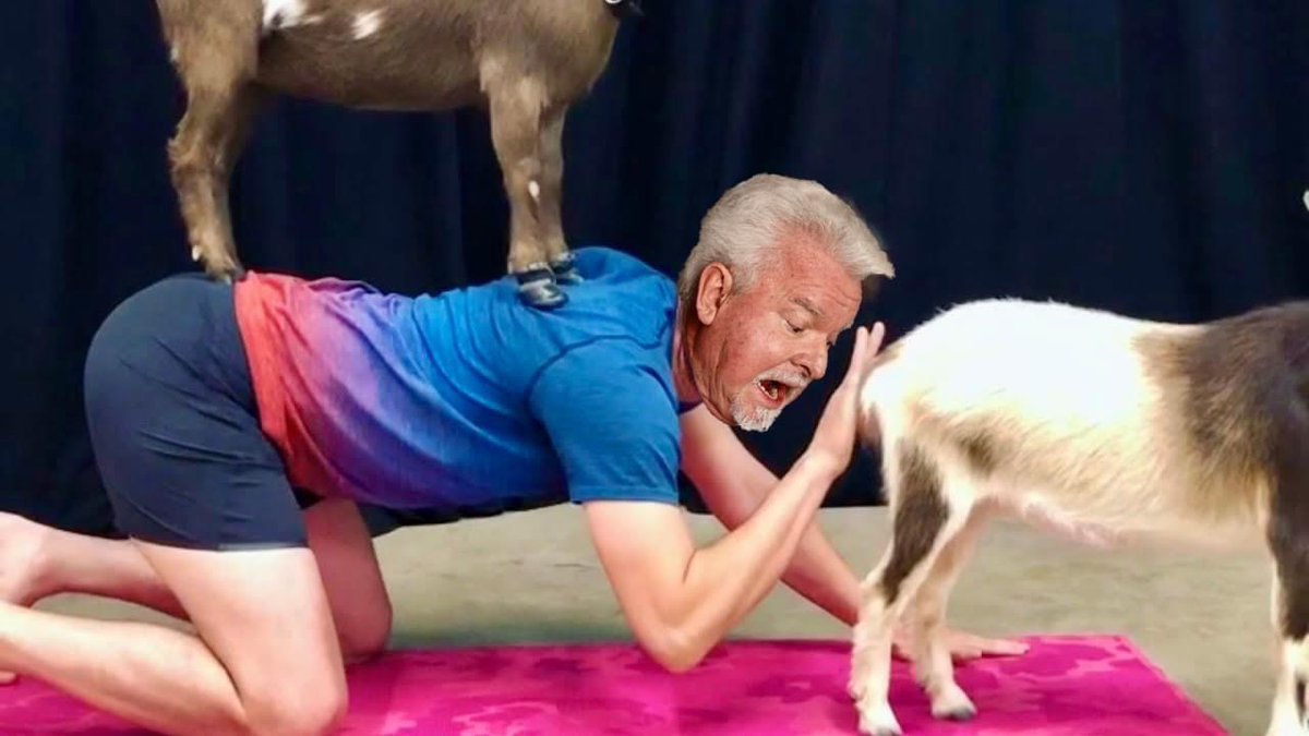 Morgan King tweet media