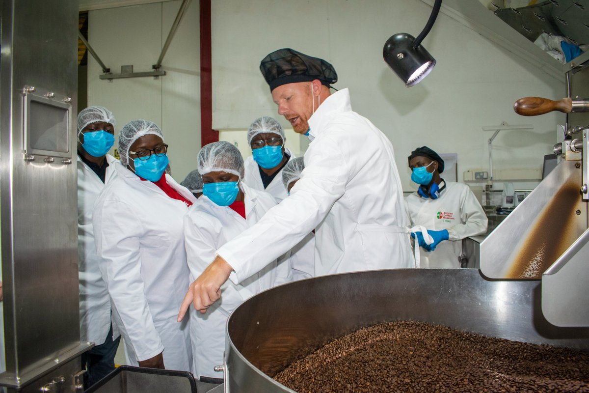 African Coffee Roasters tweet media
