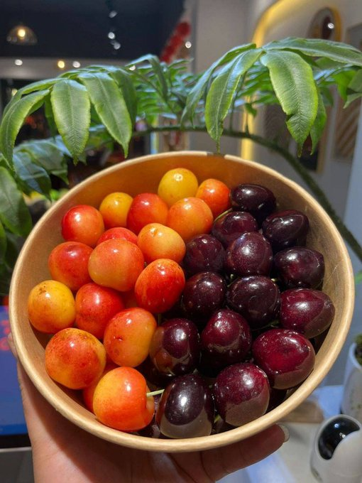 IrawatiSaba's tweet photo. Every day you can eat the fruits prepared by your mother https://t.co/pjgS8GuNCl