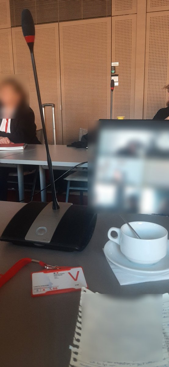 BastienCorsini's tweet photo. 🟣 Journée à #Paris avec @FionaLazaar pour le @ConseilPauvrete #CNLE avec des groupes de travail sur les #stigmatisations vécues par les personnes en situation de précarité (ce matin) et sur la #participation à cette instance (cet après-midi). https://t.co/k00ueLPnLE