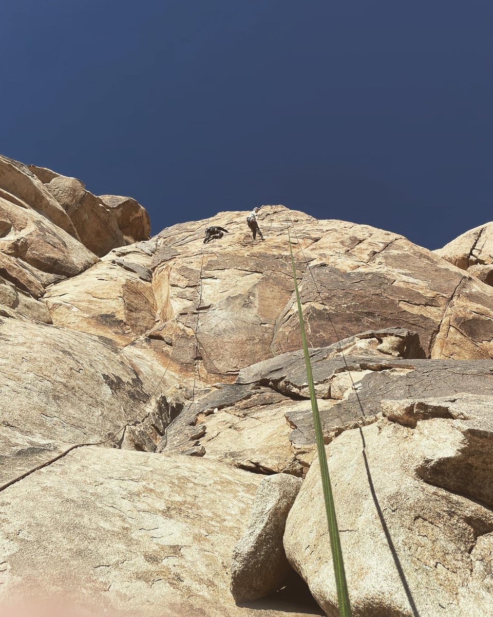 Climbing_Ryan's tweet photo. Had a recent trip to Joshua for some rock climbing. Nearly 20 routes in three days. Check out my post on IG. 

https://t.co/VGbH05DZoc

#rockclimbing #JoshuaTree #tradclimbimg #sportclimbing https://t.co/G0OjrmzFF5