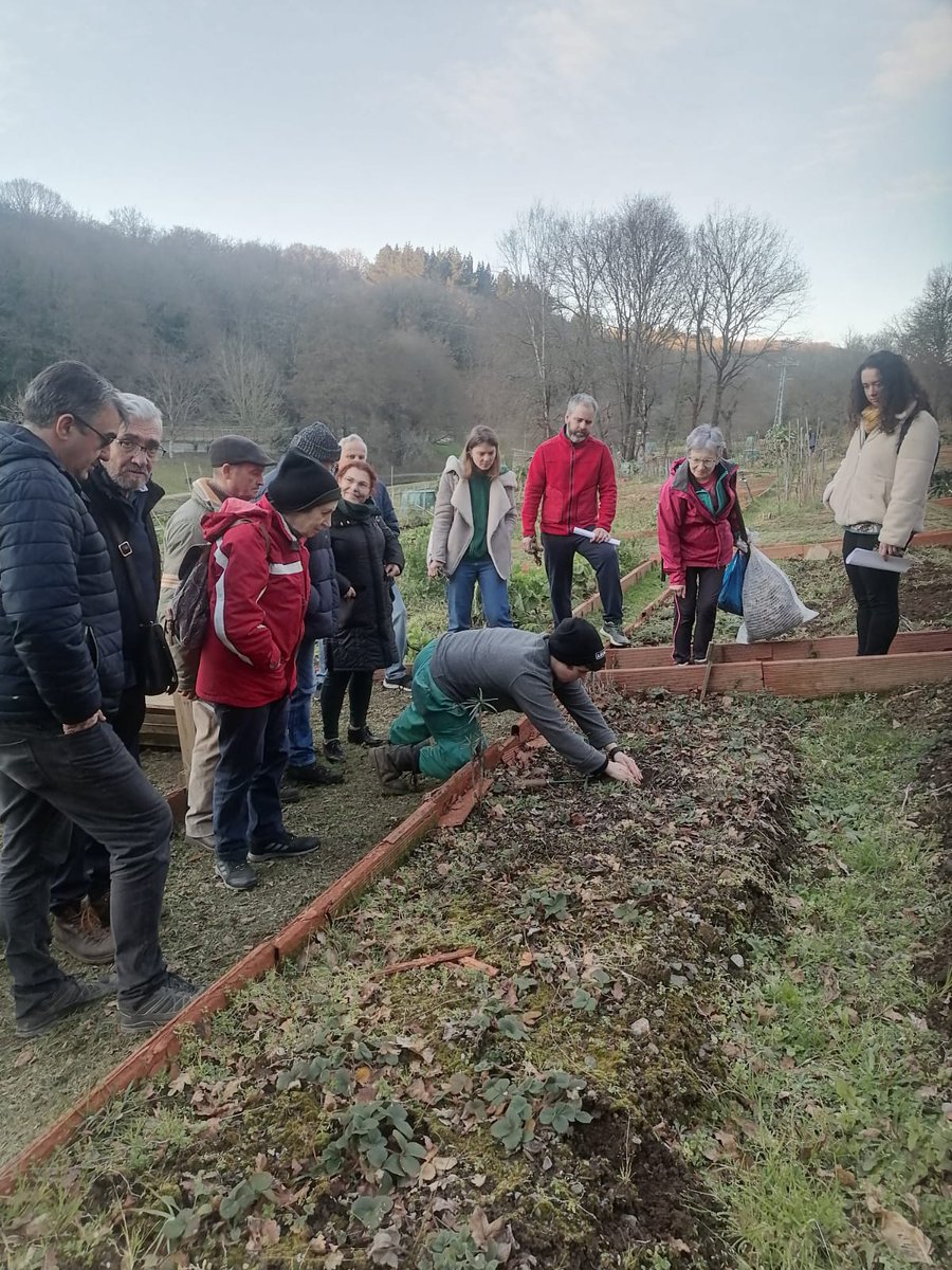 depulugo's tweet photo. 🍓A vida nos hortos urbanos do Rato da @depulugo non para!
👩🌾Hoxe aprendemos algo máis arredor de como se cultivan os amorodos nestas terras que pertencen á Reserva da Biosfera Terras do Miño
#reservabiosfera #ReservadelaBiosfera #programamab https://t.co/FlXSUtOmHN