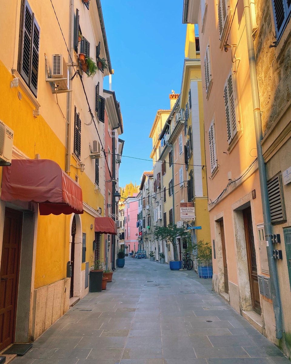 Michelle Newblom tweet media