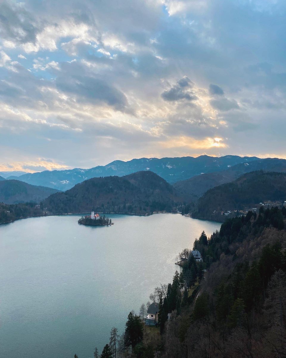 Michelle Newblom tweet media