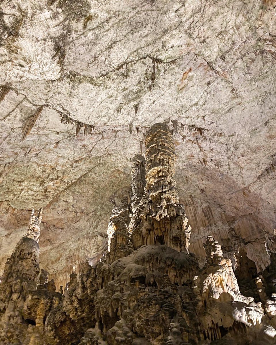 Michelle Newblom tweet media