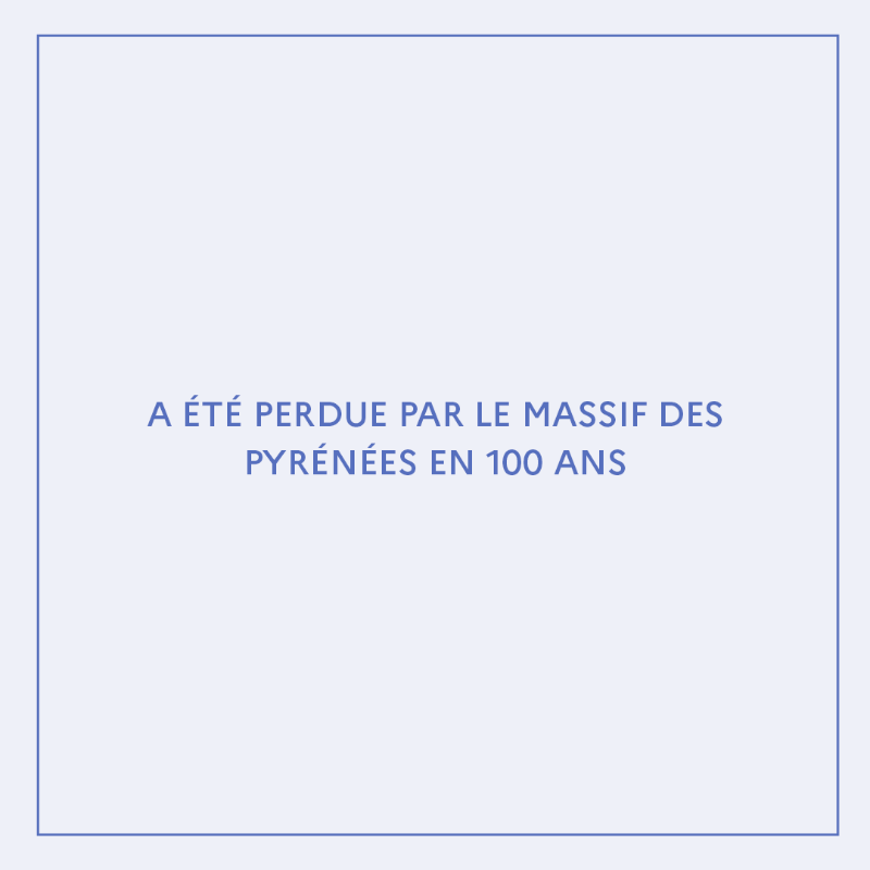 ademe's tweet photo. [#TourismeDurable]
🔴 En 100 ans, le massif des Pyrénées a perdu 85 % de la surface de ses glaciers !
L’@ademe fait le point sur les nouvelles pratiques à adopter pour continuer à profiter de nos belles montagnes dans son dernier post Insta 👉https://t.co/ZClleQsE6R