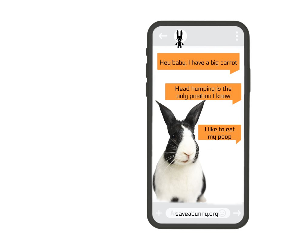 SaveABunny tweet media