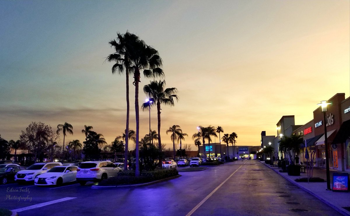 Have a beautiful day everyone!
😍🌴💜🌴💙🌴🧡🌴💛🌴😊
#sunsetphotography #leadinglines #sunset #photography #palmtrees