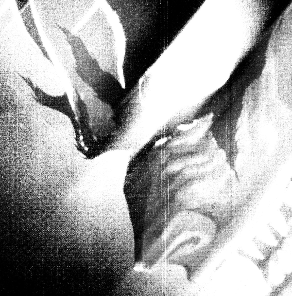 MaridiaFix's tweet image. "I don't belong here"
#nft #digitalart #unminted #portrait #nftarti̇st #darknft