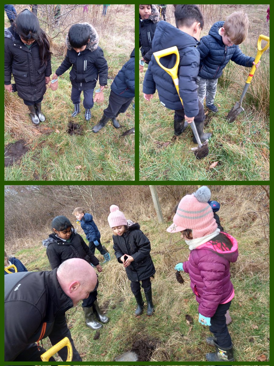 olvschool's tweet photo. #Y2OLV had a fantastic afternoon planting trees around our nature area. A brilliant team effort! π³ @bcw_cat #treeforeverychild #bestdaysoftheirlives #wellbeing https://t.co/jFZLoaakiu