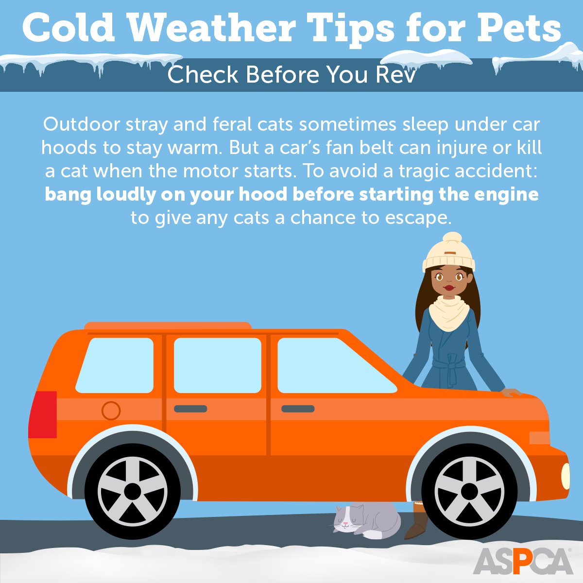 ASPCAPro's tweet photo. The temperatures keep changing but it's still important to be prepared for cold weather! โ๏ธ๐กCheck out these cold weather tips and share them with your community to help keep pets safe and warm. #aspcapro #winterweather #staywarm #ThursdayThoughts https://t.co/BKM6TVyoff