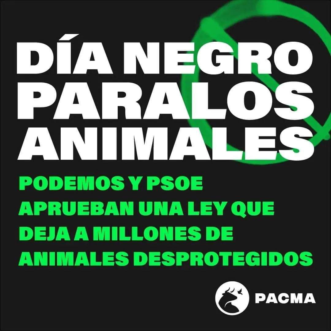 El Congreso aprueba finalmente una ley de PSOE y Unidas Podemos que deja desprotegidos a millones de animales y una reforma del Código Penal para los delitos de maltrato animal que permitirá a los jueces sustituir penas de cárcel por simples multas.