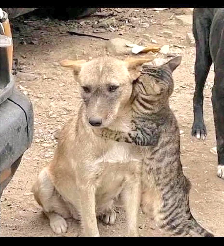 Məsum mələklər...