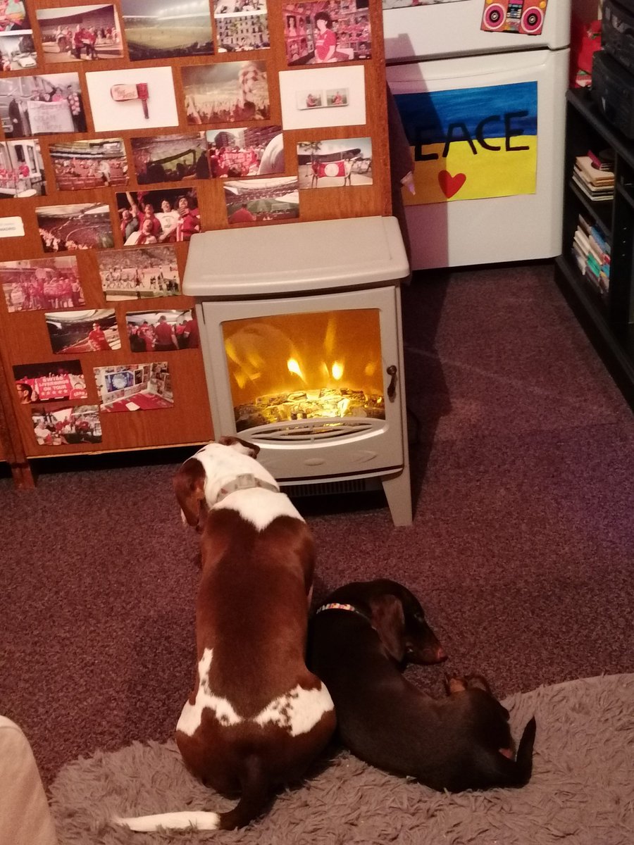 THEY LOVE A WARM SPOT