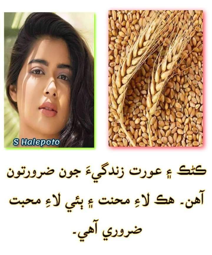 khalidmj59's tweet photo. https://t.co/PudCddaqjz
