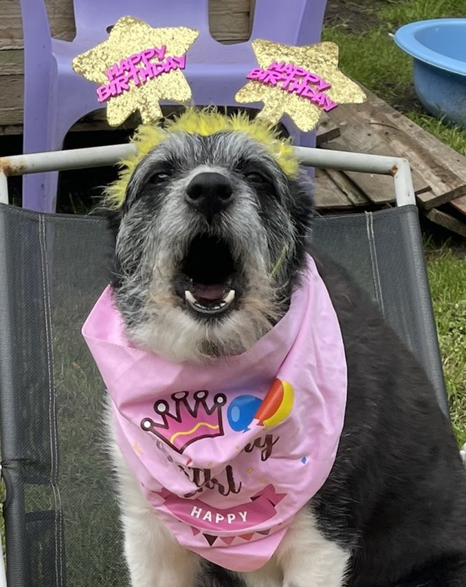 Logan Damien Oberholster tweet media