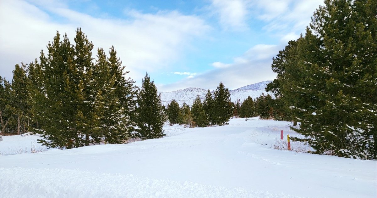 EdgewoodSchafer's tweet photo. Views from our site in Grand Lake are pretty fantastic! 
Updates coming soon! #grandlake #grandlakecolorado #mountainbuilder #topmountainbuilder #loghomelife #loghome #loghomedesign #loghomeliving https://t.co/b20KZg20Wz