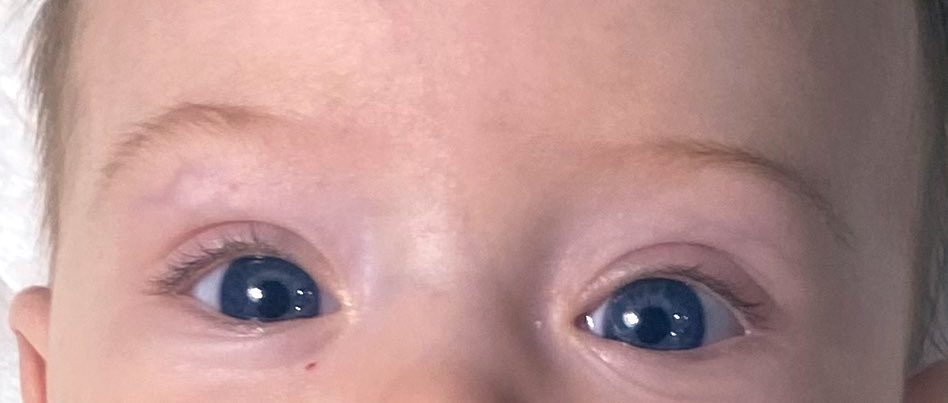 Crisicre's tweet photo. ❤️
Gràcies per fer-me mamà https://t.co/8wktBg5eyq