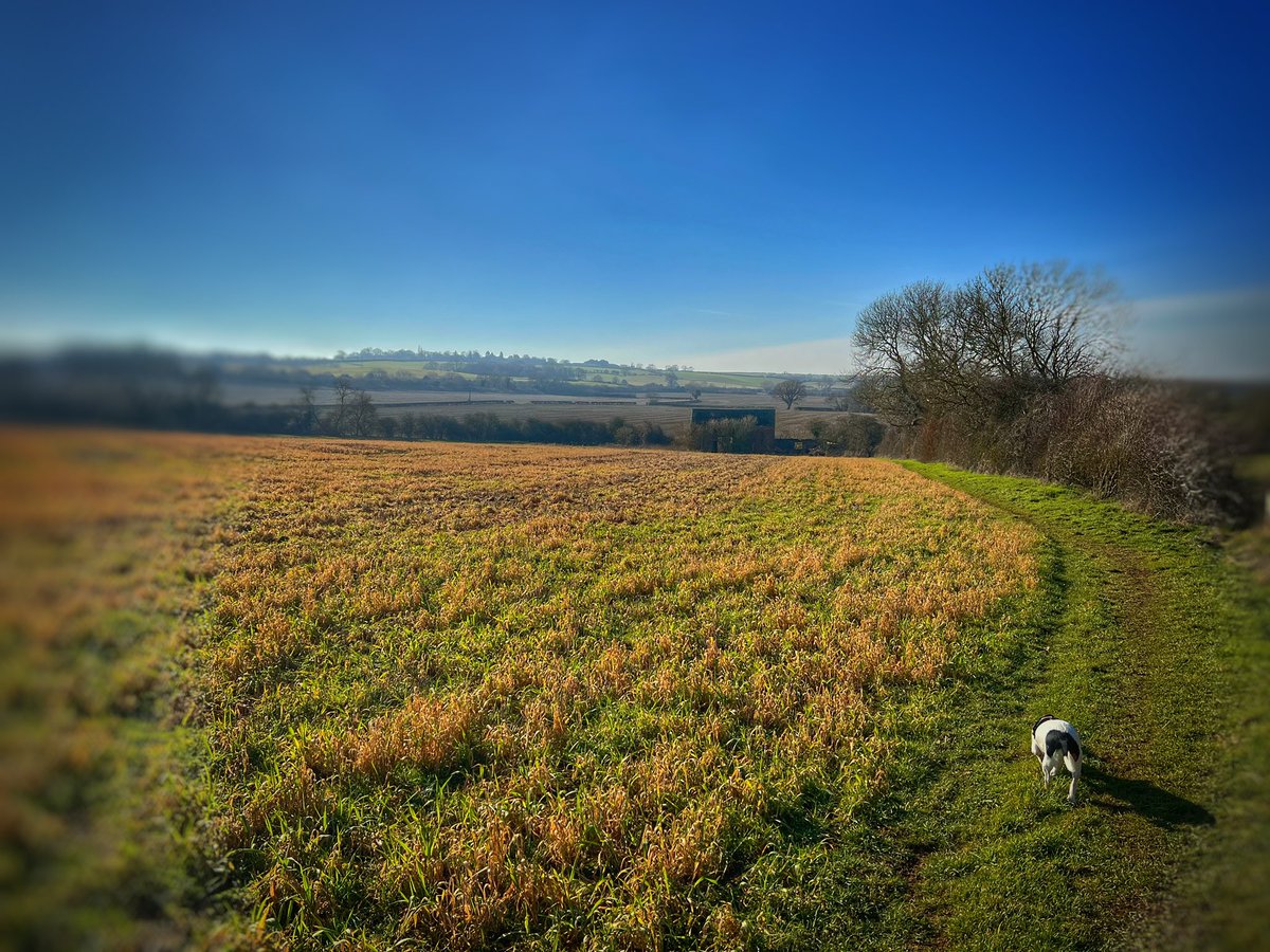 VlogCoupleUK's tweet photo. Taking the #mighty hound out for a walk in the #beautiful #northamptonshire #countryside on a crisp #winter day. #jackrussellterrier #cutdog https://t.co/bOeJ0QLkGE