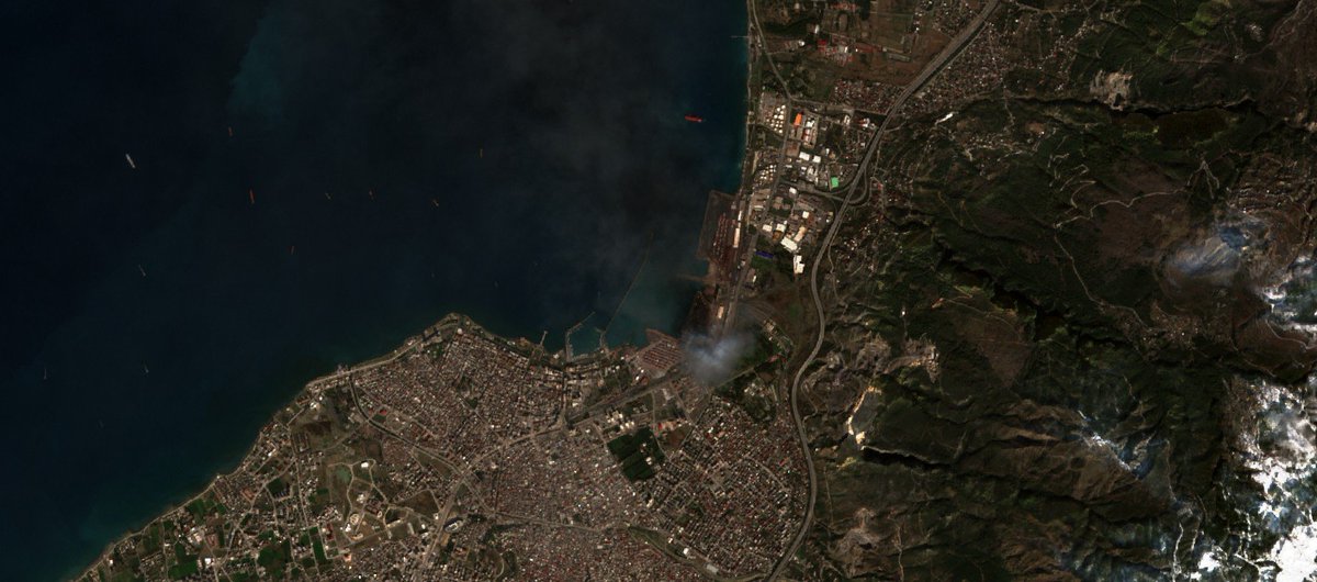 Military Intelligence tweet media