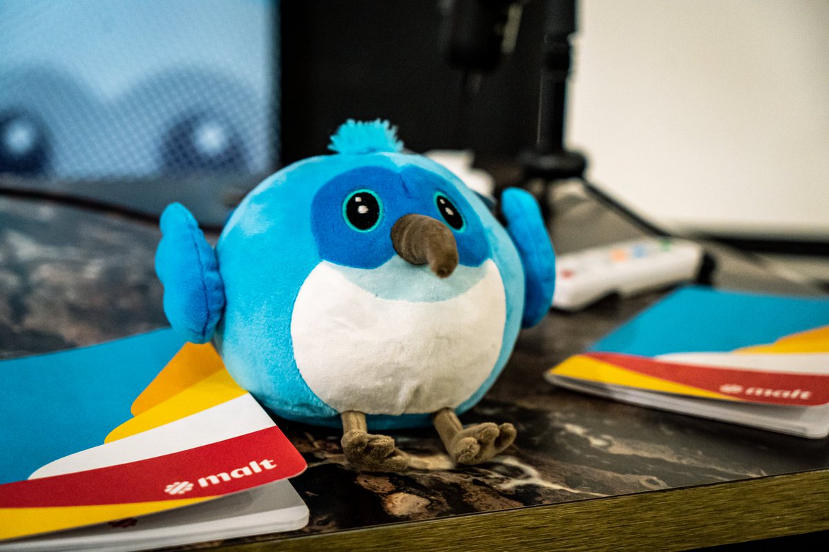 Enzo Conty 💙 tweet media