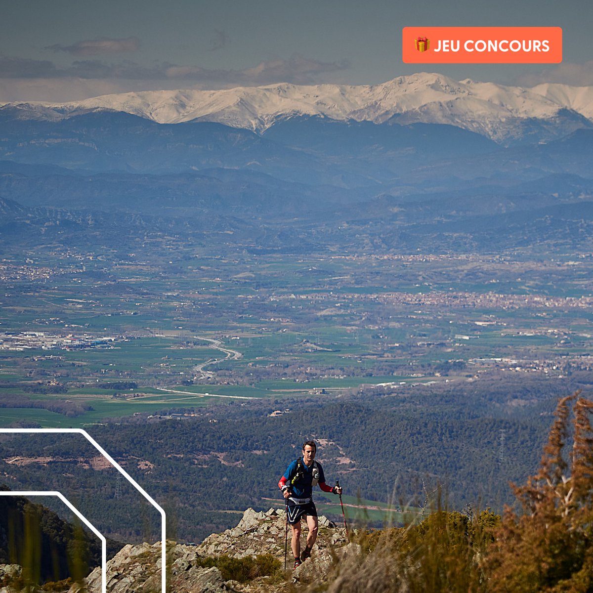 Finishers tweet media