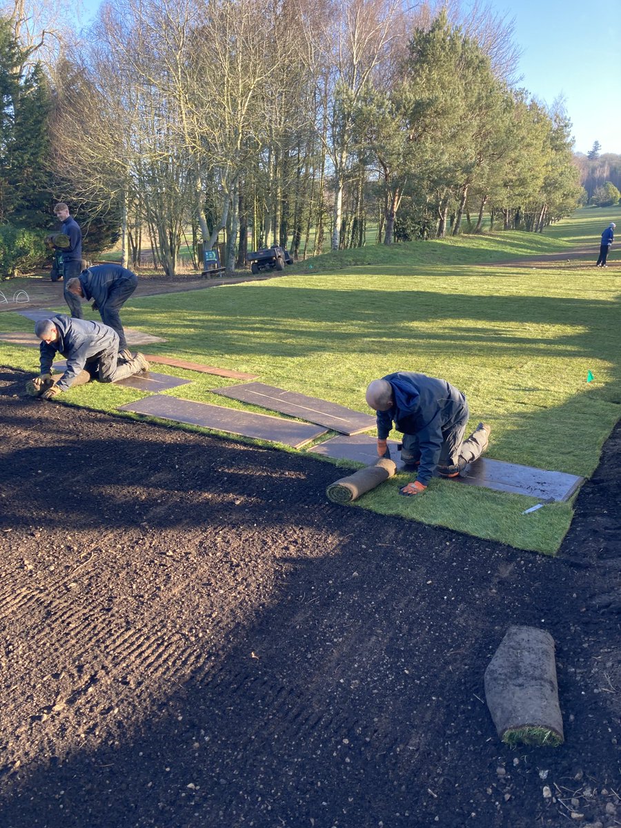 Stephen Curtis tweet media