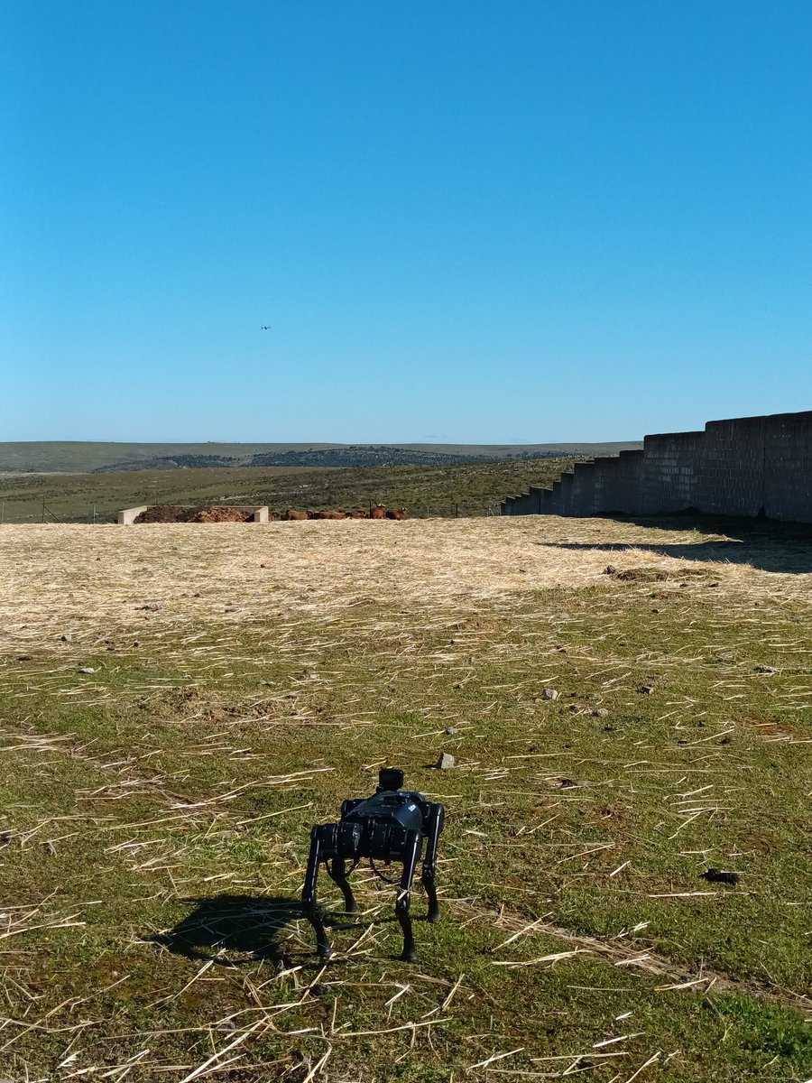 RoboLab_UEx's tweet photo. Hoy visitamos la Granja de @infouex junto a @RoboticaUnileon para probar la futura generación de robots con funciones de pastoreo https://t.co/RhyHOyTToI