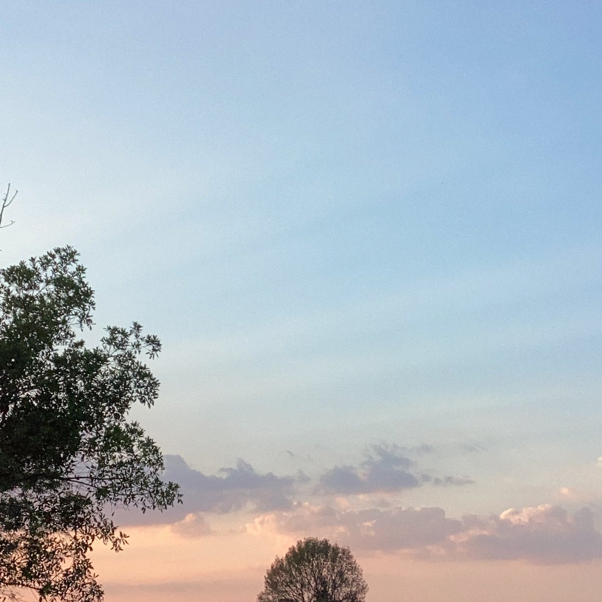 🫀🌥️