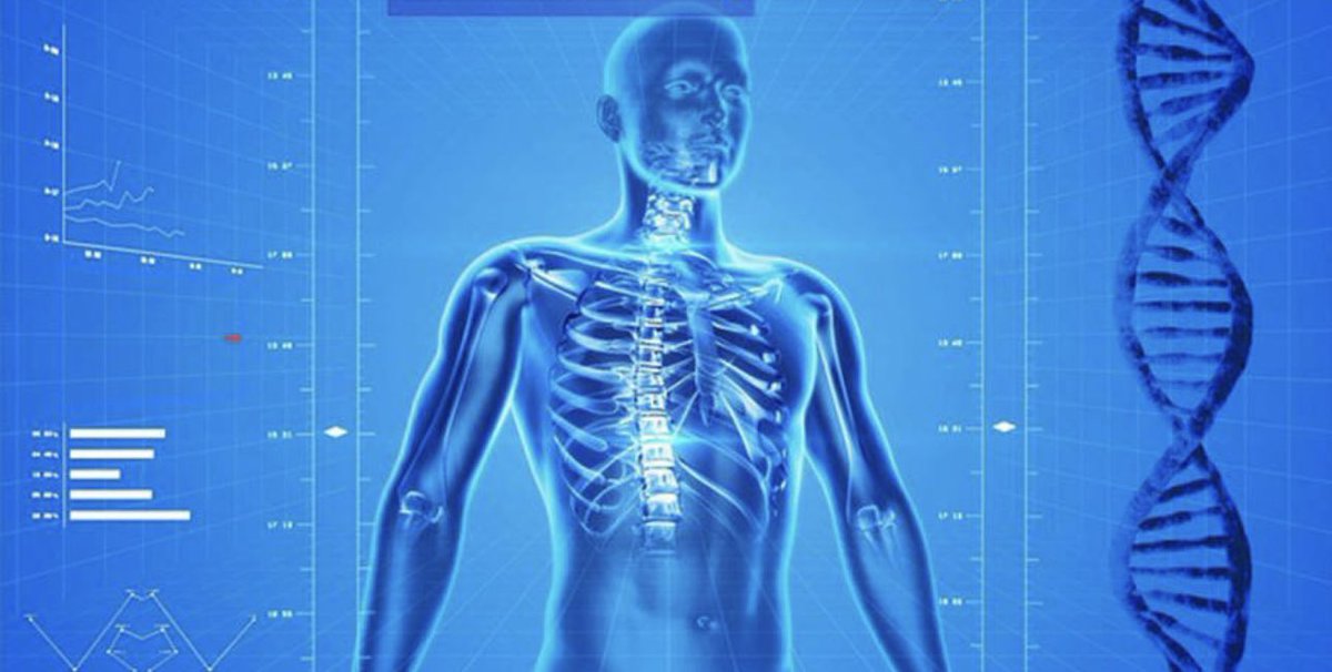 BrianRoemmele's tweet photo. You'll have a brand-new skeleton in 10 years.

You are 1% shorter in the evening than in the morning.

Kids grow fastest in the summer.

Babies don't have kneecaps. You'd think that our kneecaps would be a necessary part of the human body. Not for babies, who aren't born with them. Instead, their cartilage gradually turns into bone, as ossification begins between the ages of two and six years—and doesn't fully finish until young adulthood.

Your feet contain a 25% of your bones.

You lose almost one-third of your bones as you age.

There are no muscles in your fingers.

Your tongue is the only muscle that doesn't join two bones.

Hair can "taste." Nasal passages and lungs are lined with fine hairs, or cilia, that detect and sweep out impurities. By sensing bitter tastes of the things passing through them. When these hairs taste something bitter, they increase their rate of movement, attempting to sweep out the bad stuff.

Your body position affects your memory.

A blink is a micronap.

Your intestine is four times as long as you are.

Your liver can almost completely regrow.

Humans have more than five senses. While we have sight, smell, touch, taste, and hearing, humans also have "proprioception" (sense of space) and "nociception" (sense of pain). There's also "equilibrioception" (sense of balance), "thermoception" (sense of temperature in and around the body), "temporal perception" (sense of time), and more.

You burn more calories sleeping than you do watching television.

You cannot snore and dream at the same time.

There are more lifeforms living on your skin than there are people on the planet.

Human thigh bones are stronger than concrete.

You breathe on average about 8,409,600 times a year.

Our eyes are always the same size from birth, but our nose and ears never stop growing.

During your lifetime, you will produce enough saliva to fill two swimming pools.

The average person walks the equivalent of three times around the world in a lifetime.

If a pregnant woman has organ damage, the baby in her womb sends stem cells to help repair the organ.

You can’t hum while holding your nose closed.

Some people can hear the sound of their own eyeballs moving.

In a lifetime, you’ll likely process about 150,000 pounds of food or more for some.

While you may only be able to read 100 words per minute, your brain can read up to 1,000 words per minute.

When human beings fall in love, their brain releases the same cocktail of neurotransmitters and hormones that are released by amphetamines. This is what makes our hearts beat faster, and causes a loss of appetite and sleep, and intense feelings of excitement.

The human eye technically has the ability to see ultraviolet light. It’s just that our eye lens filters out this natural ability. Some people have undergone surgery to remove this lens so they can detect ultraviolet light.

An adult is made up of 7,000,000,000,000,000,000,000,000,000 (7 octillion) atoms. To put that into some kind of perspective, there are only about 300,000,000,000 (300 billion) stars in our galaxy.

The amount of heat given off by the human body in just 30 minutes is enough to bring one gallon of water to a boil.
-litre soda bottle.

You have as much hair on your body as a chimpanzee. Most of your hairs just happen to be so fine they're almost invisible.

Your nose can recognize 50,000 different scents.

When a person dies, they have 7 minutes of brain activity left. It’s the mind playing back the person’s memory in dream sequence.

When you sneeze, all body functions stop, even your heart.

The brain is more active in night than days.

Kissing releases Oxytocin in the brain, a hormone that strengthens the emotional bond between two people.