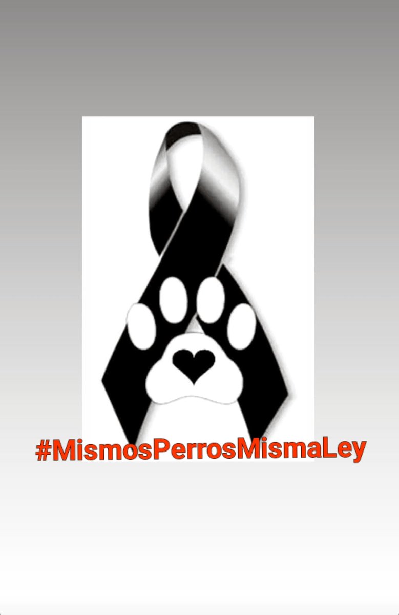 ApaguasLemon's tweet photo. Hoy es un día negro xa los perros de trabajo. Caza,guarda,pastoreo,diversión,rescate... Podran ser maltratados impunemente 😔
Aprobar la reforma del código penal es un retroceso difícil de asumir.Como Protectoras pedimos que se enmiende: prisión y multa.
#MismosPerrosMismaLey https://t.co/Vpvncz2mVf