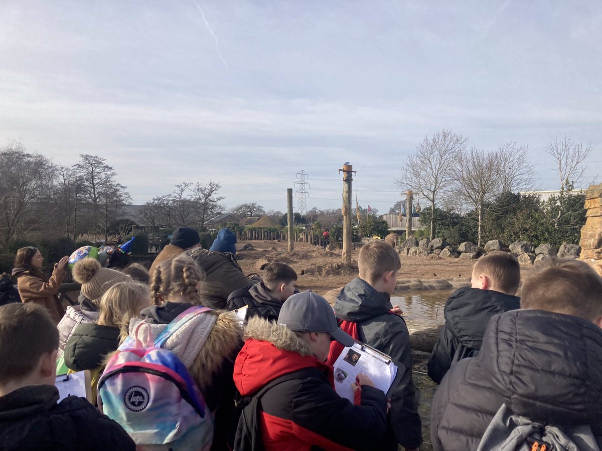 What a fabulous day we had at Chester Zoo! The children compared the animals natural habitats to their enclosures at the zoo. Thank you to <a href="/chesterzoo/">Chester Zoo</a> for sharing everything they do to help animals which are vulnerable, or near extinction. #realscience <a href="/LeighSTJOHNSsch/">Leigh St John's</a> #freedom