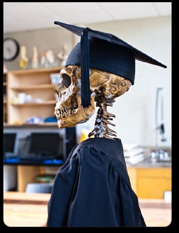 jesca_nakibuule's tweet photo. We shall graduate 🙏 either dead 😩 or alive 😒🤰👩‍🦯🍆🤌 https://t.co/hgpv7O6kt2