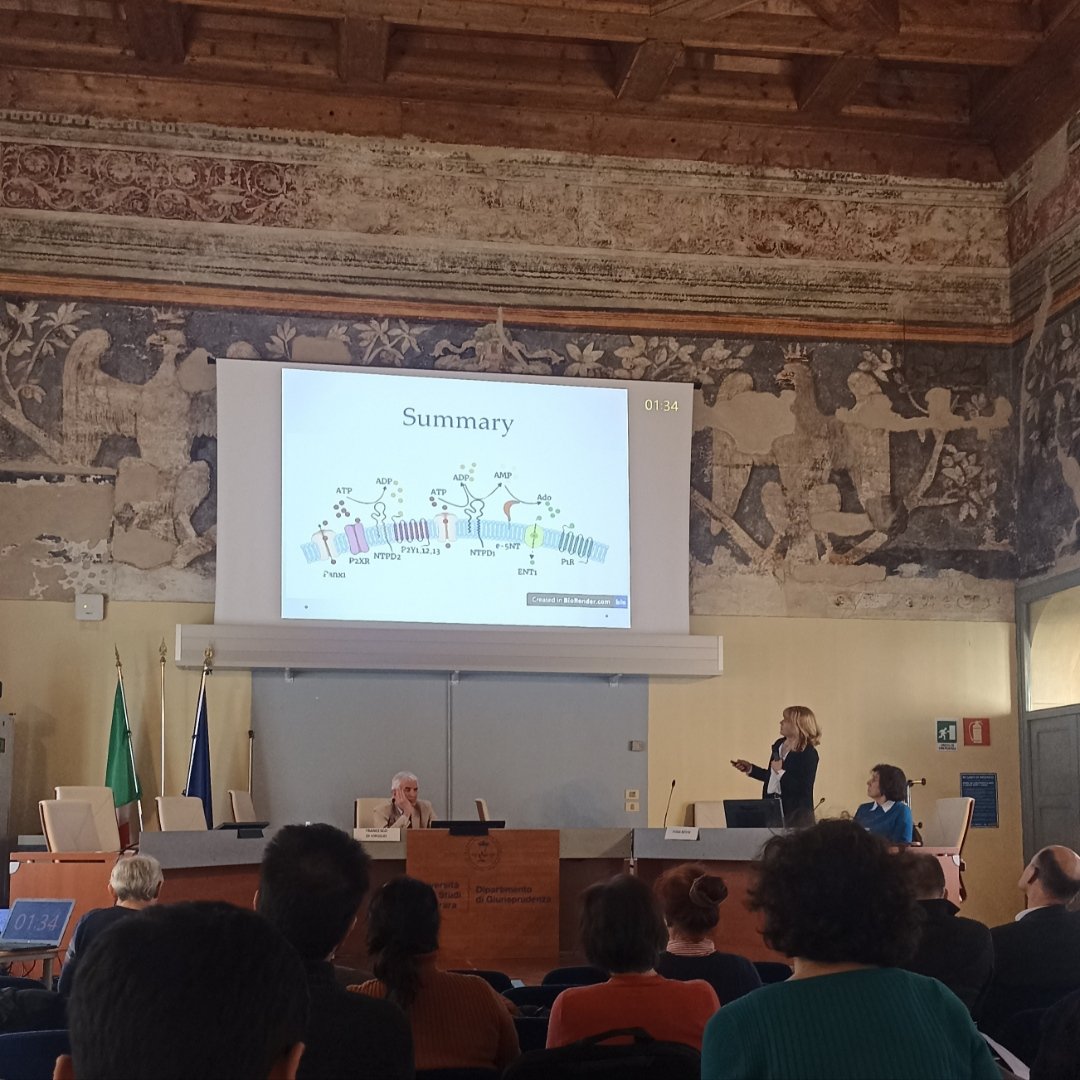 brainpurinergic's tweet image. Yesterday we presented the research and methods of @brainpurinergic as a part of Fist #Prestocost2023 meeting in Ferrara! #P2Xreceptor #ATP @prestocostcomms @COSTprogramme 
Great lectures from all participants!