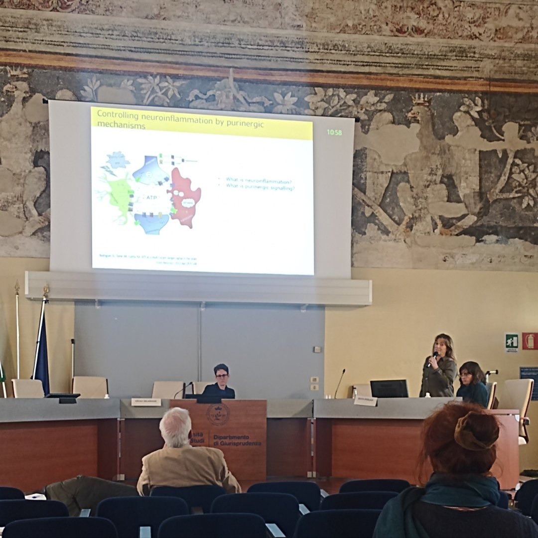 brainpurinergic's tweet image. Yesterday we presented the research and methods of @brainpurinergic as a part of Fist #Prestocost2023 meeting in Ferrara! #P2Xreceptor #ATP @prestocostcomms @COSTprogramme 
Great lectures from all participants!