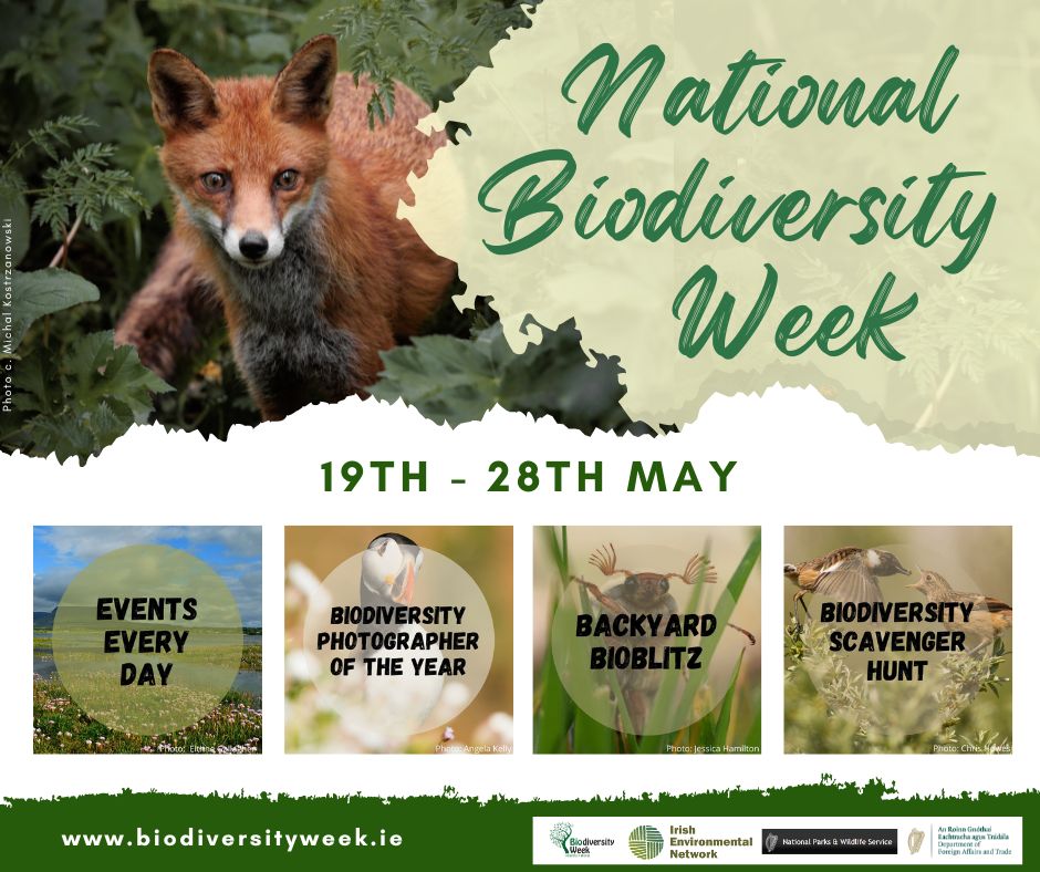 Get ready for a full ten days of celebration and discovery for this years National Biodiversity Week! With free events every day there is something for everyone, so save the dates and keep an eye on our social media for more announcements! #biodiversityweek2023
