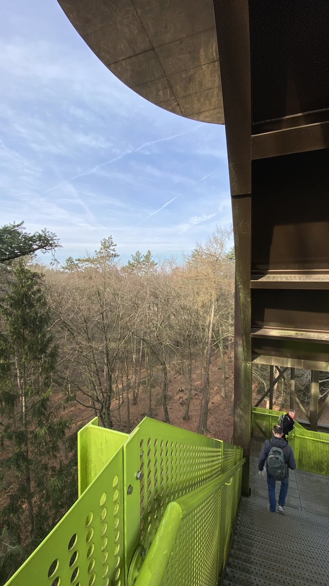 mveldhuis76's tweet photo. Op pad met Derk Jan Stobbelaar en Freek Rurup van @Hogeschool_VHL (Van Hall Larenstein). Over een veerkrachtig #bos op de #Veluwe irt minder risico op #bosbranden. Een gezond watersysteem etc. Leuke en nuttige ochtend. Bovenop de Bostoren😃 @ValleienVeluwe #veluweop1 https://t.co/fZzG0JTujH