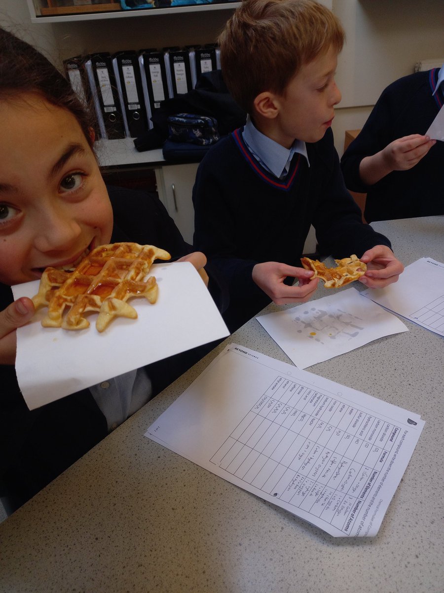 OPSScience's tweet image. Learning the difference between irreversible and reversible reactions the only way the @OPS_OratoryPrep knows how to! With full engagement, super practical skills and tasty waffles. #STEMeducation