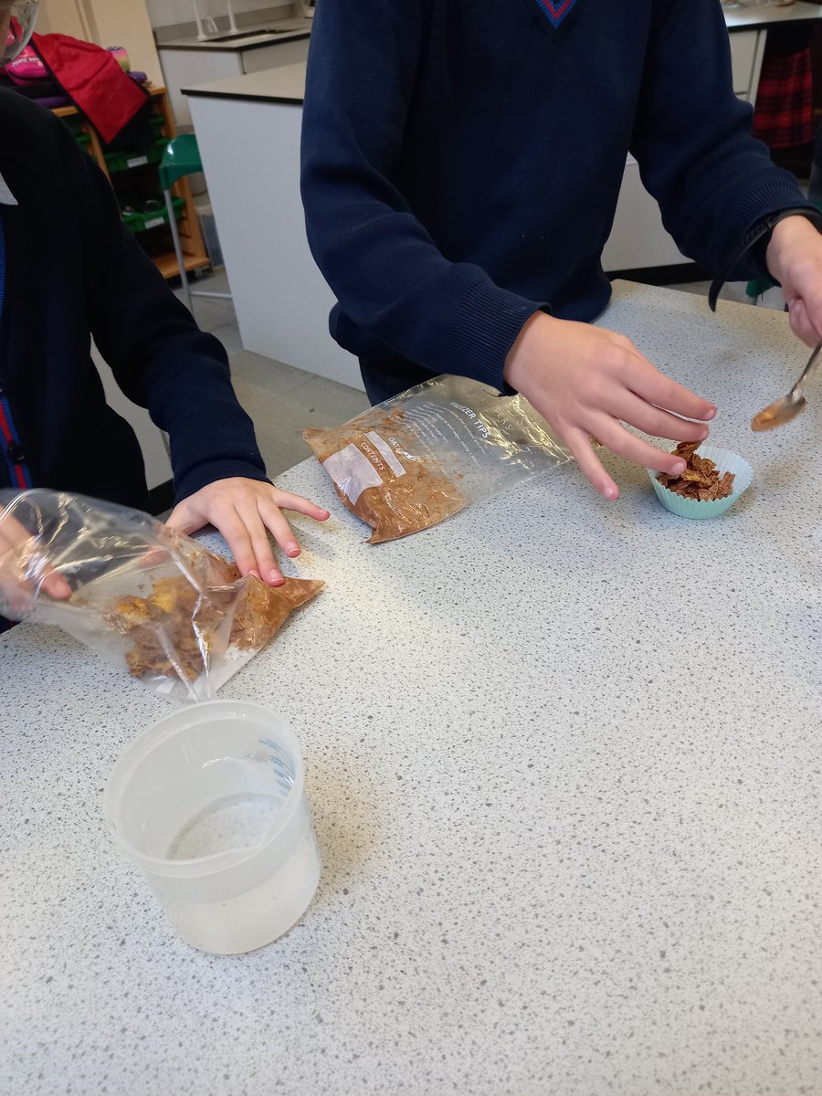 OPSScience's tweet image. Learning the difference between irreversible and reversible reactions the only way the @OPS_OratoryPrep knows how to! With full engagement, super practical skills and tasty waffles. #STEMeducation